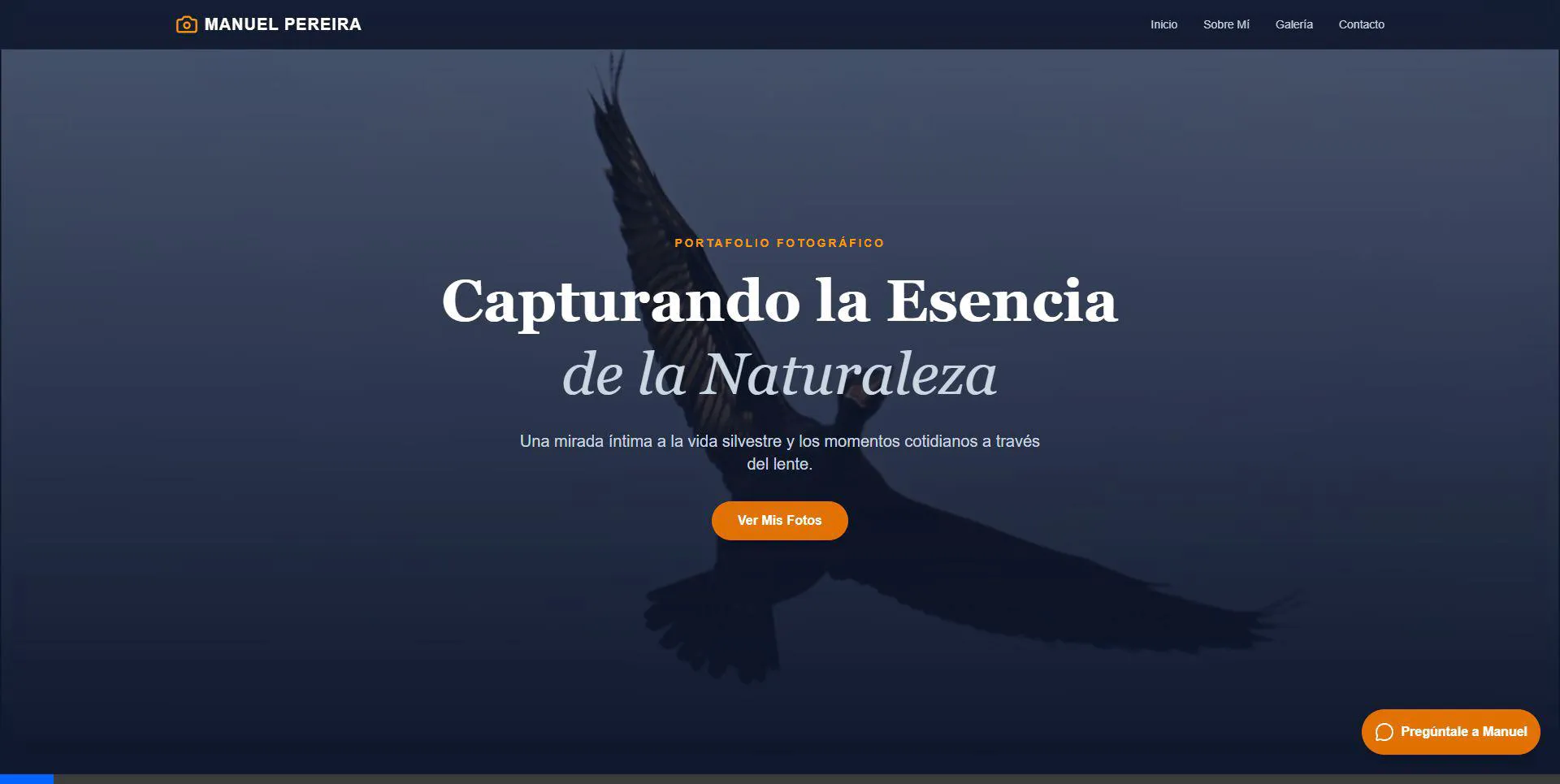Manuel Pereira - Fotografía